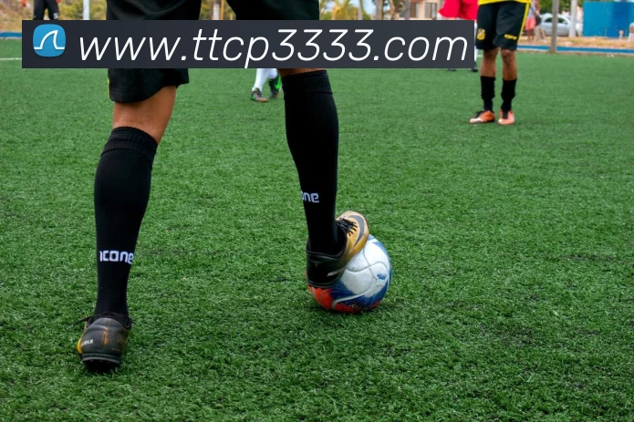 天天彩票官方网站发展历程